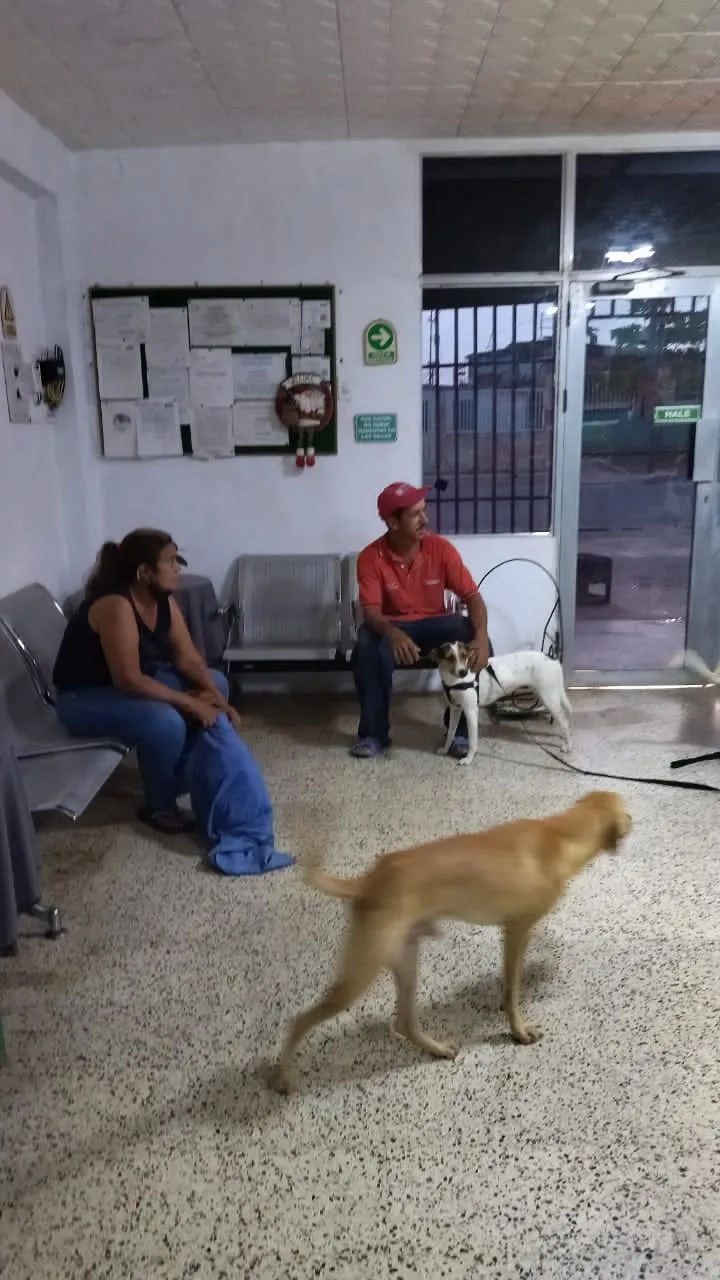 Instalación 5