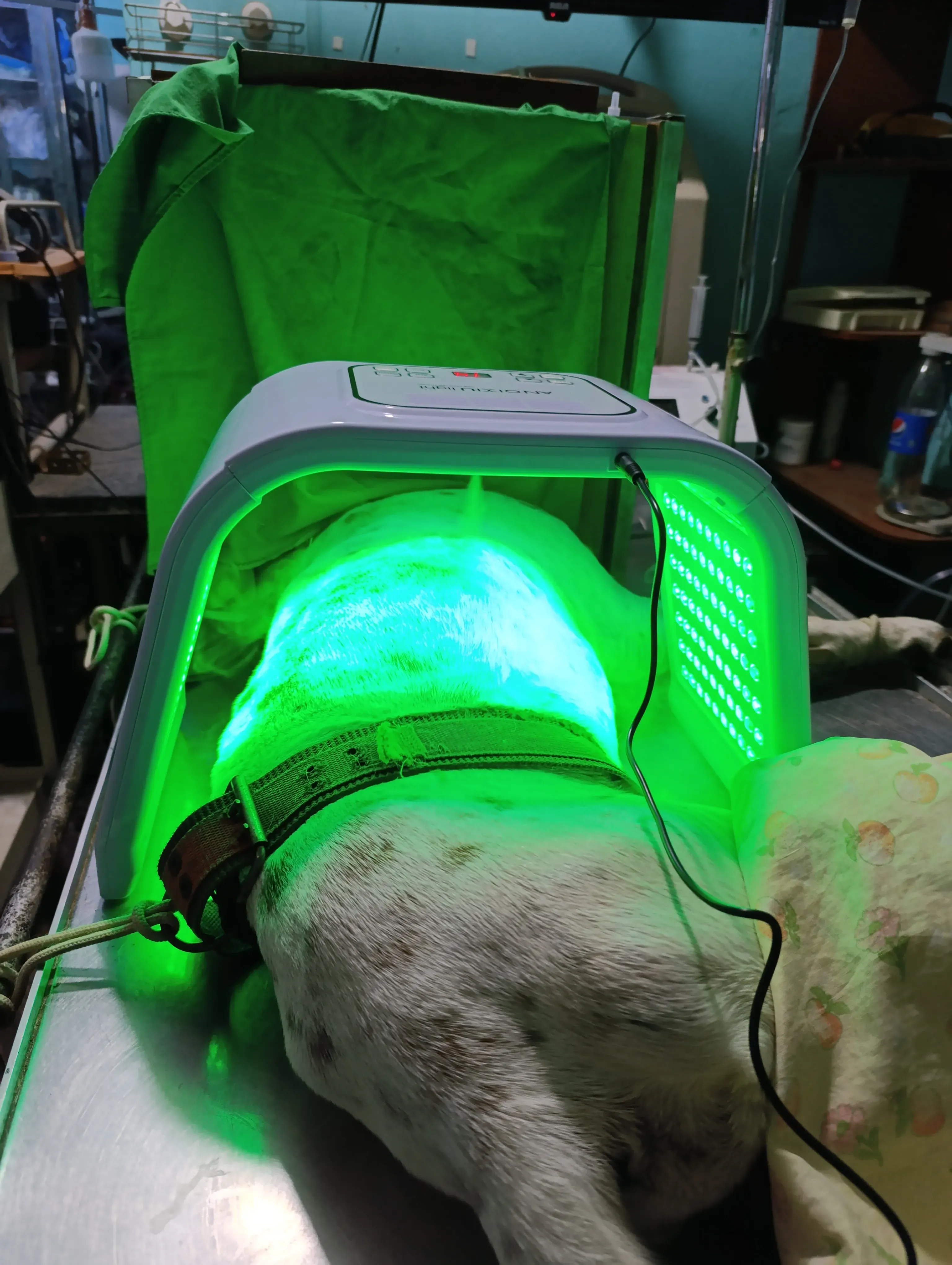 Fisioterapia